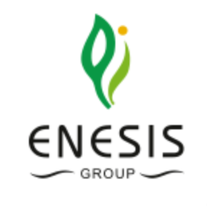 enesis